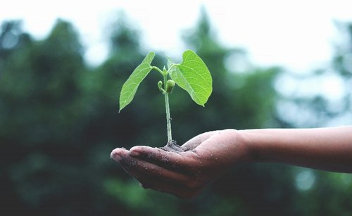 ONG Association pour la protection de l’Environnement